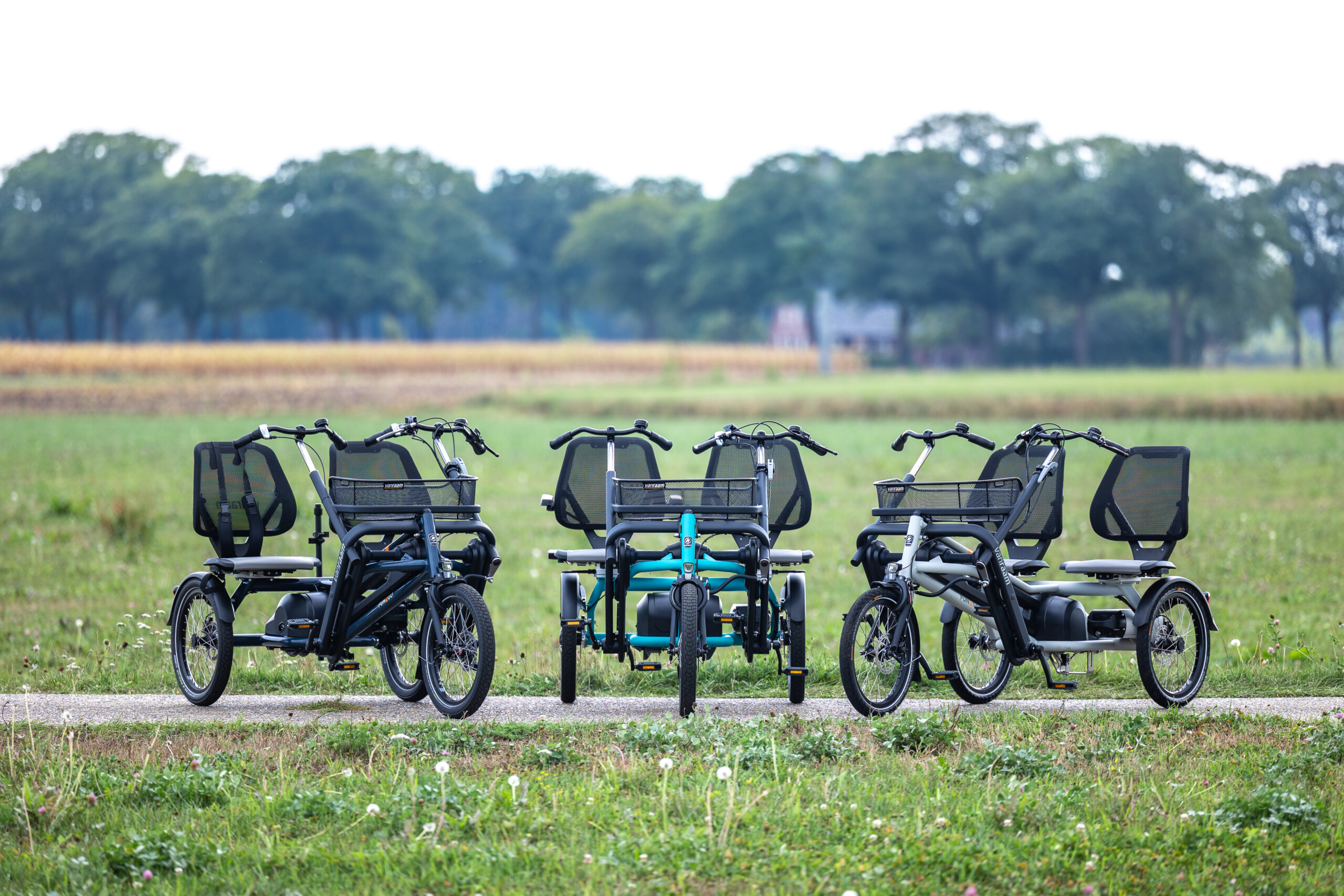 Vélos en location pour balades en groupe, présentés sur un chemin verdoyant en Normandie.