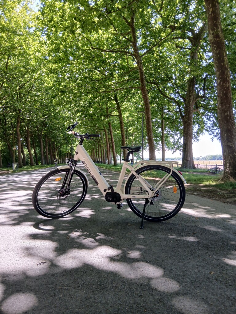 Vélo à louer sur une route agréable, ombragée par des arbres, idéal pour découvrir la Normandie en famille ou entre amis.