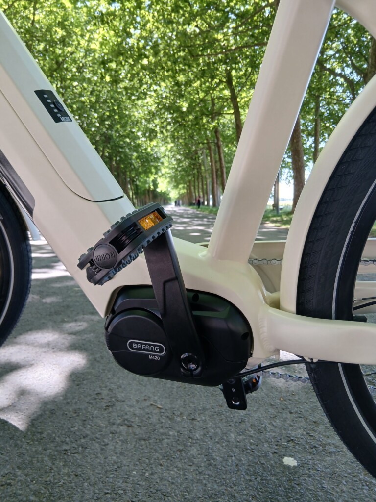 Vélo électrique en location à Roulez JEUnesse Loisirs, sur une voie bordée d'arbres en Normandie.