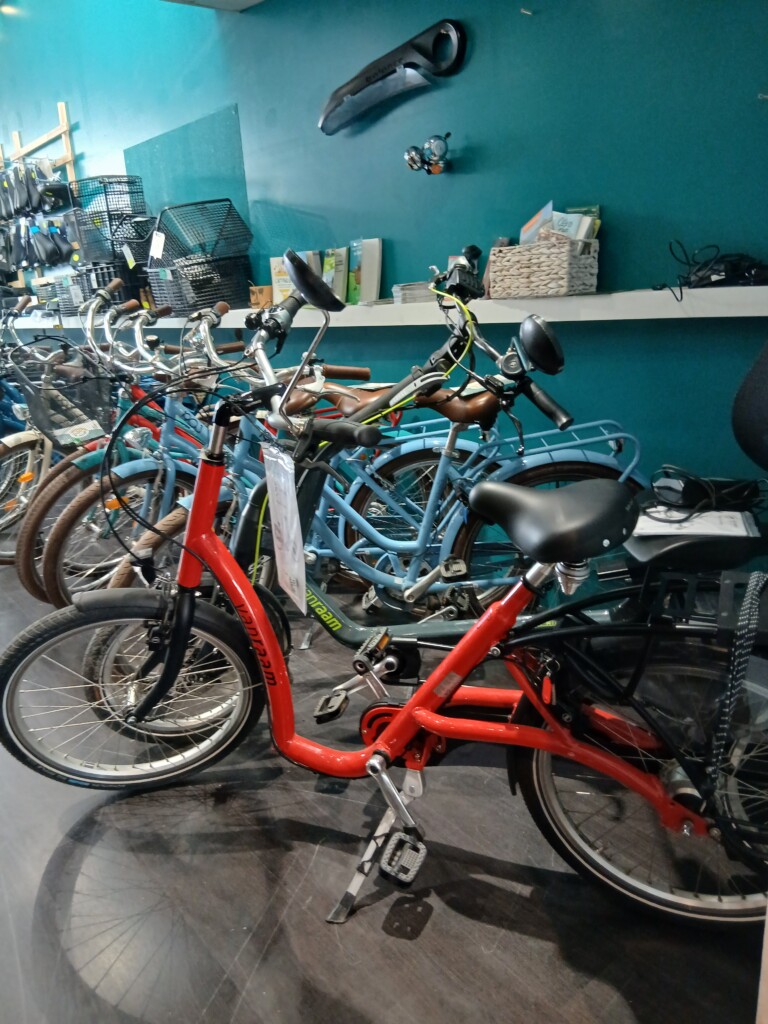 Vélos colorés en exposition dans un espace de location, prêts pour des balades en Normandie.