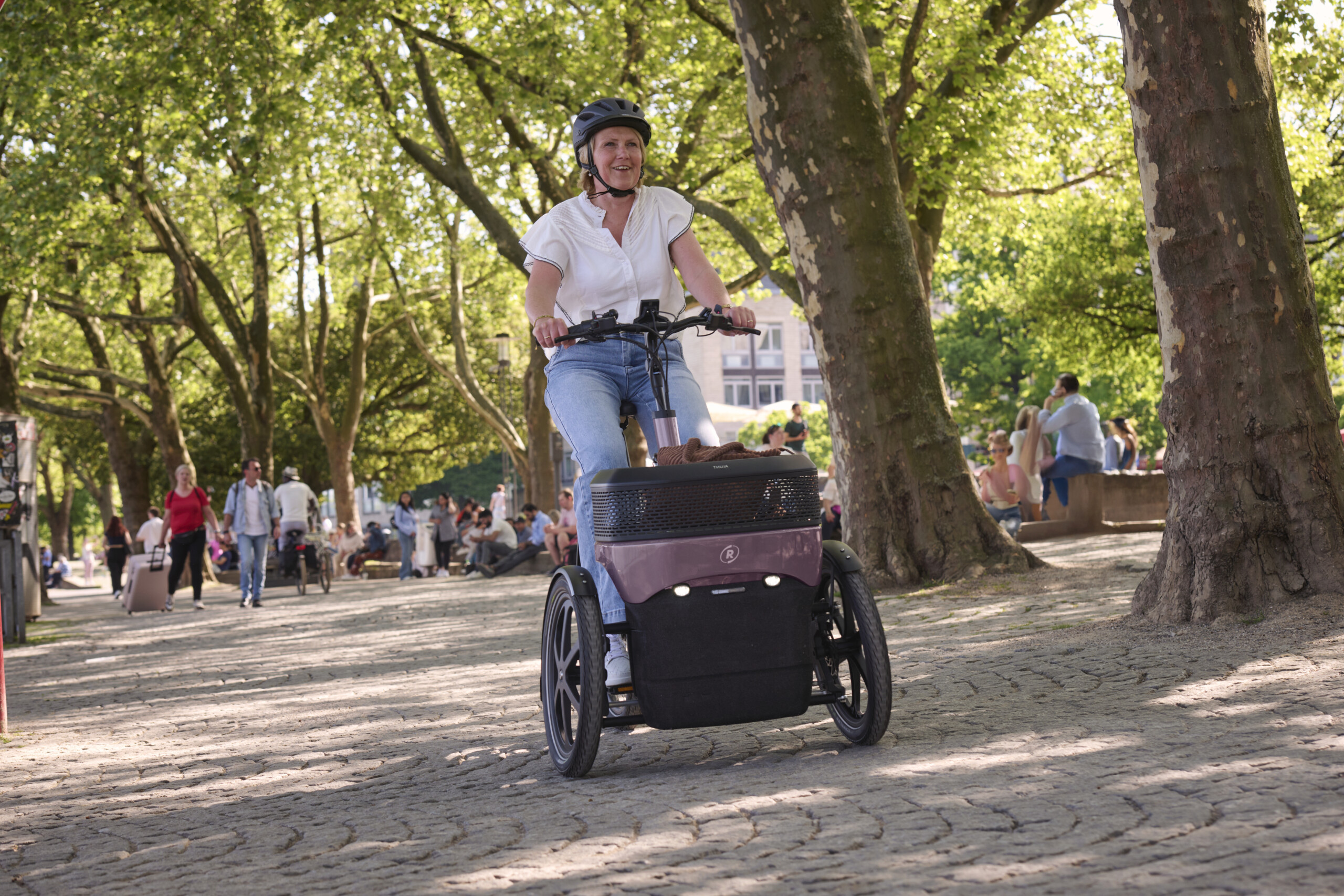 Triporteur VAE Thuja de VAN RAAM